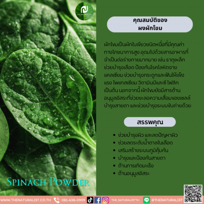ผงผักโขม - Spinach Powder