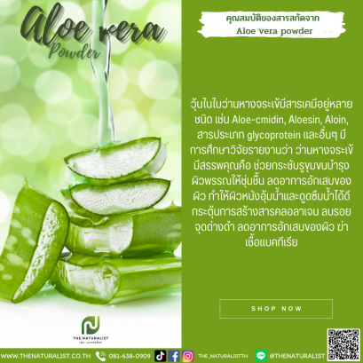 สารสกัดว่านหางจระเข้ผง - Aloe Vera Powder