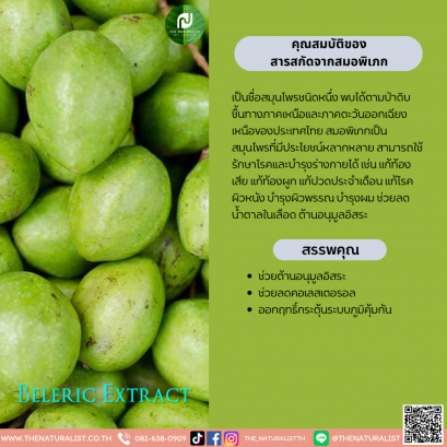 สารสกัดจากสมอพิเภก - Beleric Extract