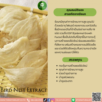 สารสกัดจากรังนก - Bird Nest Extract / Swiftlet Nest