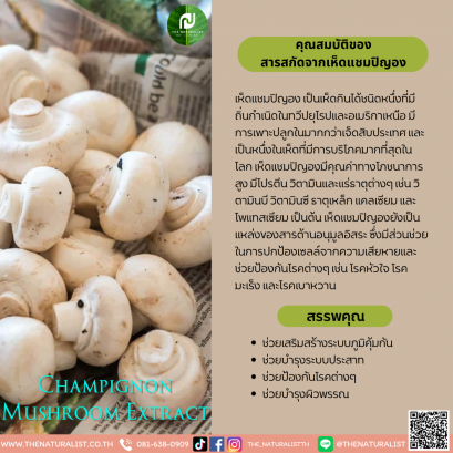 สารสกัดจากเห็ดแชมปิญอง - Champignon Mushroom Extract