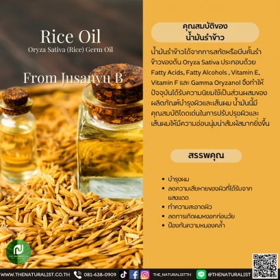 น้ำมันรำข้าว - Ricebran Oil