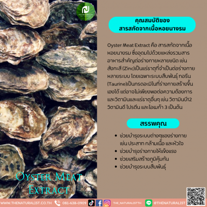 สารสกัดจากเนื้อหอยนางรม - Oyster Meat Extract