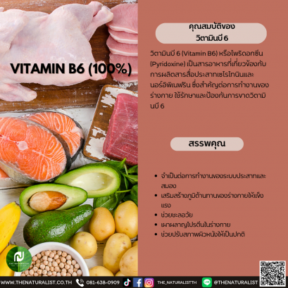 วิตามินบี 6 - VITAMIN B6 (100%)