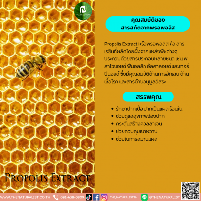 สารสกัดจากพรอพอลิส - Propolis Extract