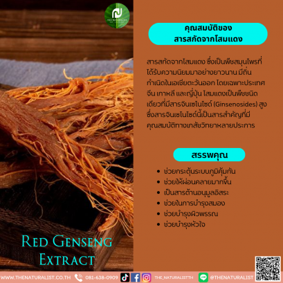 สารสกัดจากโสมแดง - Red Ginseng Extract