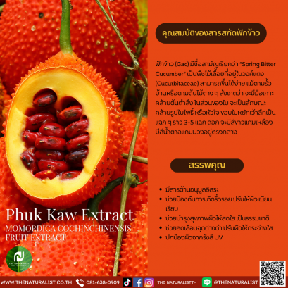 สารสกัดฟักข้าว - Phuk Kaw Extract / Gac Extract