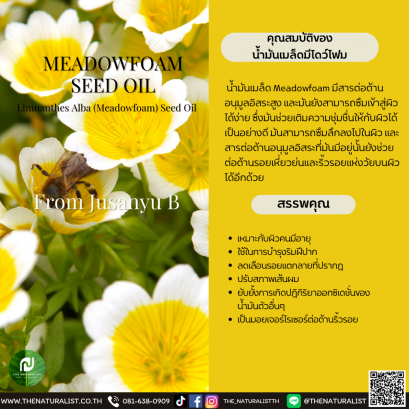 น้ำมันเมล็ดมีโดว์โฟม - Meadowfoam Seed Oil