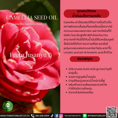 น้ำมันเมล็ดคาเมลเลีย - Camellia Seed Oil