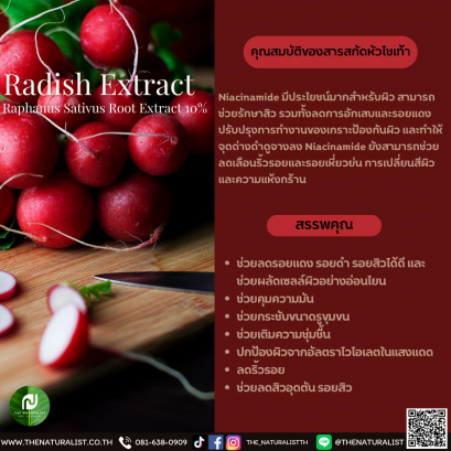 สารสกัดหัวไชเท้า - Radish Extract