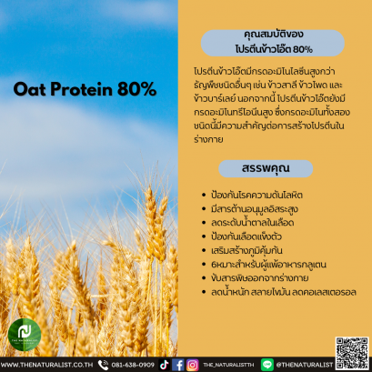 โปรตีนข้าวโอ๊ต 80% - Oat Protein 80%