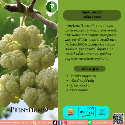 พรีนิเลี่ยม® - Prenylium®