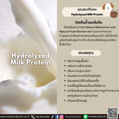 โปรตีนน้ำนมเข้มข้น - Hydrolyzed Milk Protein