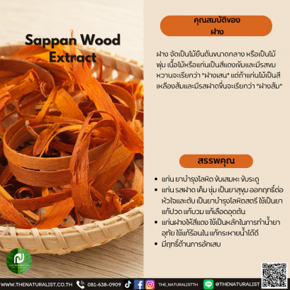 ฝาง - Sappan Wood  Extract