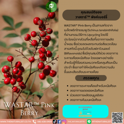 วาสตาร์™ พิงค์เบอร์รี่ - WASTAR™ Pink Berry