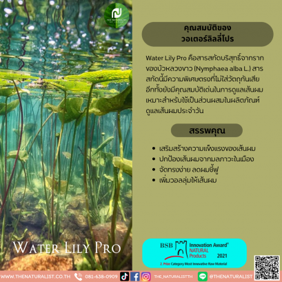 วอเตอร์ลิลลี่โปร - Water Lily Pro