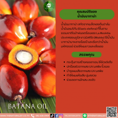 น้ำมันบาทาน่า - Batana Oil