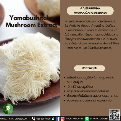 สารสกัดเห็ดยามาบูชิตาเกะ - Yamabushitake Mushroom Extract