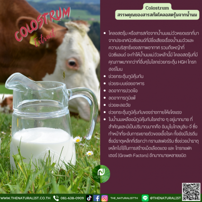 สรรพคุณของสารสกัดโคลอสตรุ้มจากน้ำนม - Colostrum