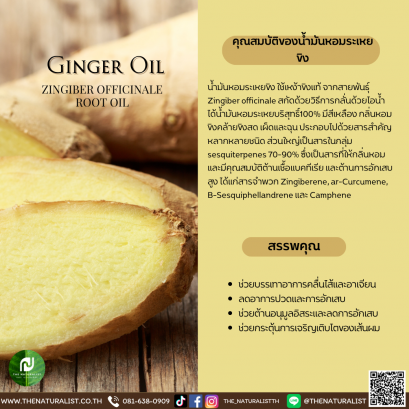 น้ำมันหอมระเหยขิง - Essential Ginger Oil