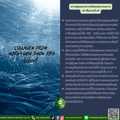 สารสกัดคอลลาเจนจาก ปลาหิมะนอร์เวย์ - Collagen From Norwegian Snow Fish