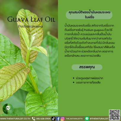 น้ำมันหอมระเหยใบฝรั่ง - Essential Guava Leaf Oil