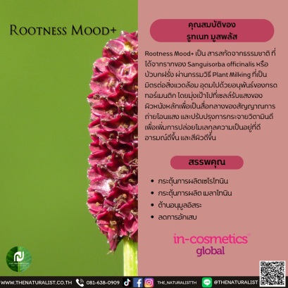 รูทเนท มูสพลัส - Rootness Mood+