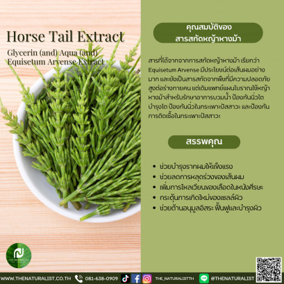 สารสกัดหญ้าหางม้า - Horse Tail Extract