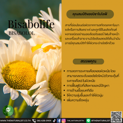 บิซาโบไลฟ์ - Bisabolife