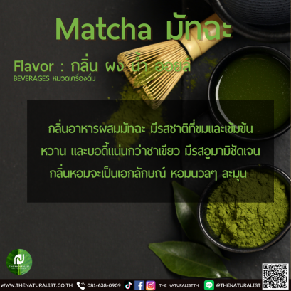 Matcha Flavor - มัทฉะ