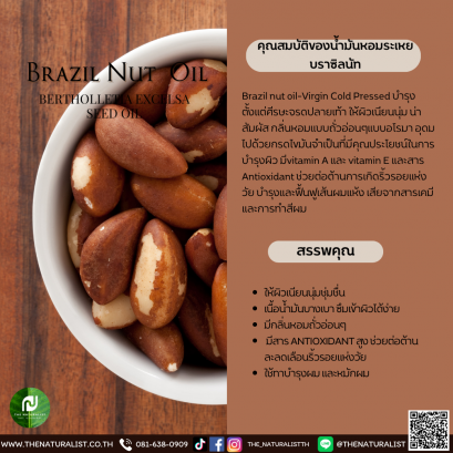 น้ำมันหอมระเหยบราซิลนัท - Essential Brazil Nut Oil