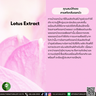 สารสกัดกลีบดอกบัว - Lotus Extract