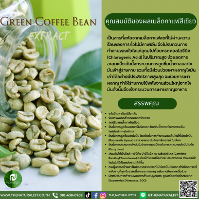 สารสกัดเมล็ดกาแฟสีเขียว - Green Coffee Bean Extract