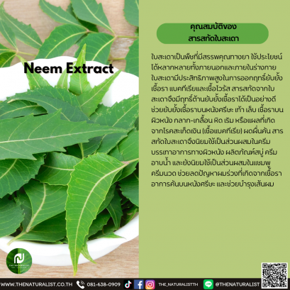สารสกัดใบสะเดา - Neem Extract