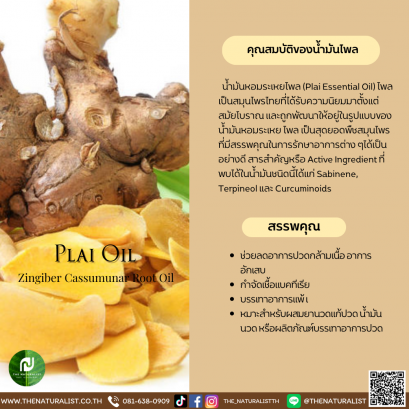 น้ำมันหอมระเหยไพล - Essential Plai Oil