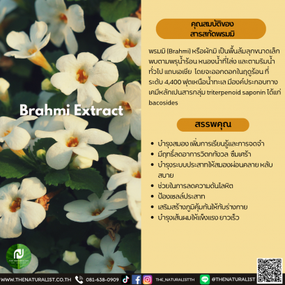 สารสกัดพรมมิ - Brahmi Extract