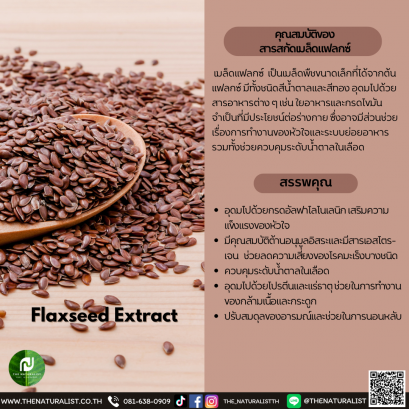 เมล็ดแฟลกซ์ - Flaxseed Extract