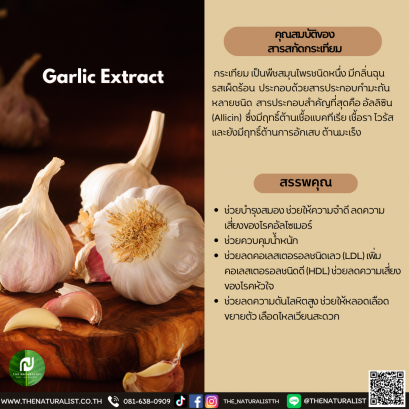 สารสกัดกระเทียม - Garlic Extract