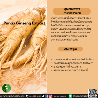 สารสกัดจากโสม - Panax Ginseng Extract