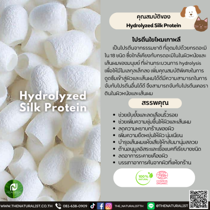 โปรตีนใยไหม - Hydrolyzed Silk Protein