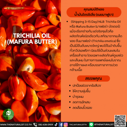 น้ำมันไตรชิเลีย (เนยมาฟูรา) - TRICHILIA OIL (MAFURA BUTTER)