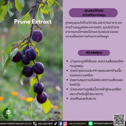 สารสกัดจากพรุน - Prune Extract