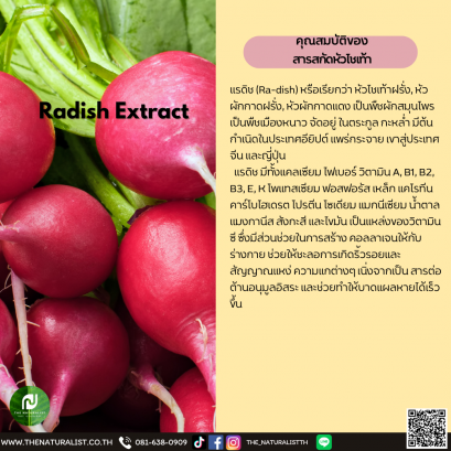 สารสกัดหัวไชเท้า - Radish Extract