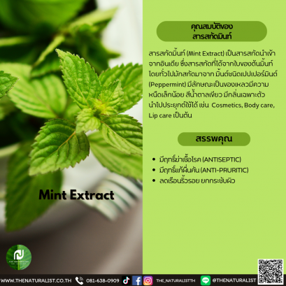 สารสกัดมินท์ - Mint Extract