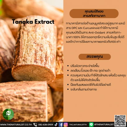 สารสกัดทานาคา - Tanaka Extract