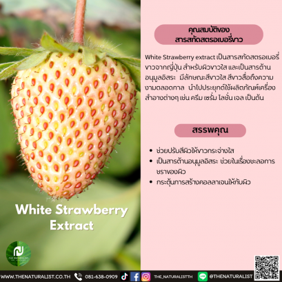 สารสกัดสตรอเบอรี่ขาว - White Strawberry Extract