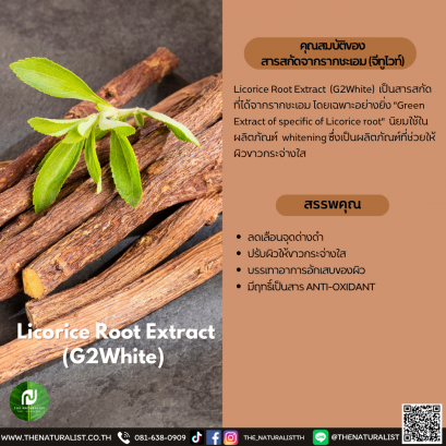 สารสกัดจากรากชะเอม (จีทูไวท์)  - Licorice Root Extract (G2White)