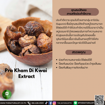 สารสกัดประคำดีควาย - Pra Kham Di Kwai  Extract / Soap Berry