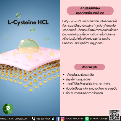 แอลซีสเทอีน เอชซีแอล - L-Cysteine HCL