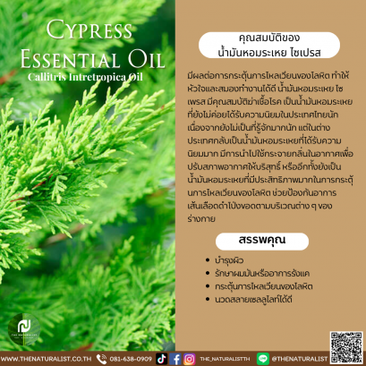น้ำมันหอมระเหย ไซเปรส - Cypress Essential Oil
